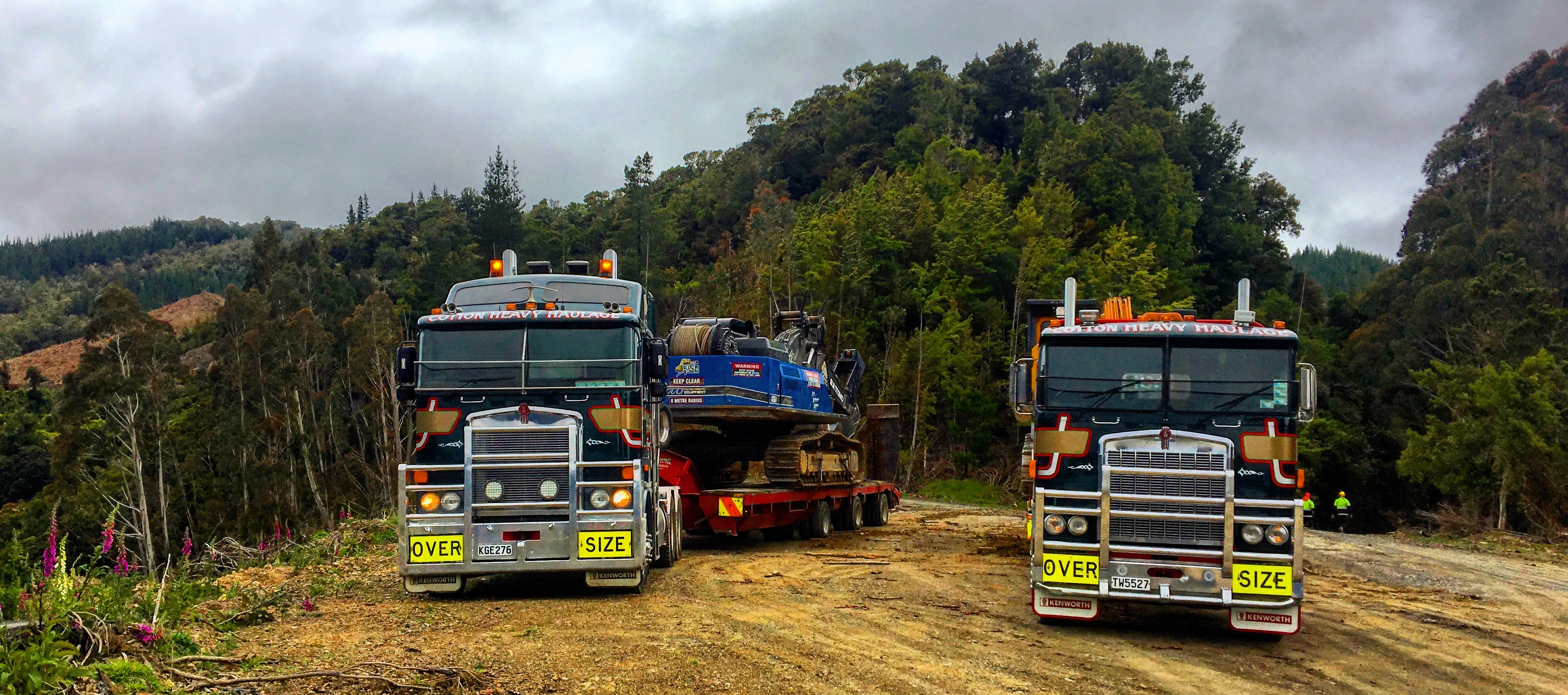 House Transport Nelson NZ