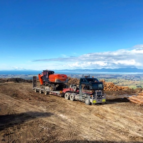 Tasman Pine Forest Ltd